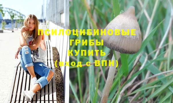 дживик Армянск